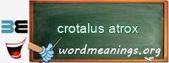 WordMeaning blackboard for crotalus atrox